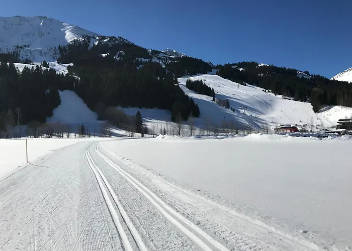 アパート Alpinplus